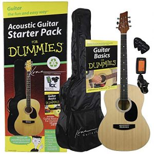 Guitar For Dummies Acoustic Guitar, Natural