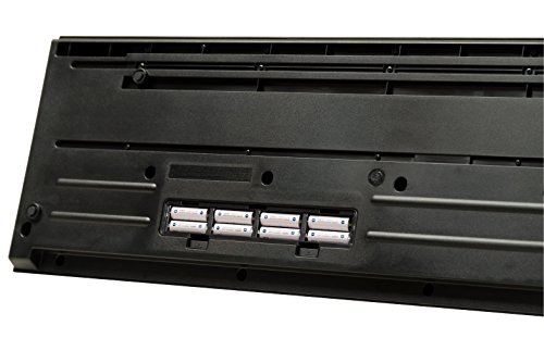 Roland Lightweight, 61-note Synth-action Keyboard
