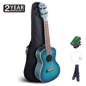 SANDONA Acoustic Electric Concert Ukulele EQ 24 Inch Kit - Image 2