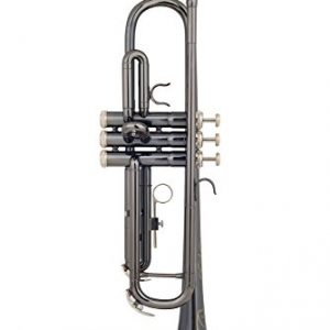 Glory Black Nickel With engraved flowers, Brass Bb Trumpet with Pro Case +Care Kit - Image 3