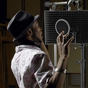 ShowMaven Recording Studio Microphone Isolation Shield - Image 2