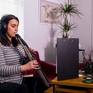 Akai Professional EWI4000S Electronic Wind Instrument with Built-In Sound Module, MIDI, and Touch Sensitive Controls - Image 3