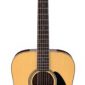 Ibanez Performance Series Dreadnought 12-String Acoustic Guitar Natural