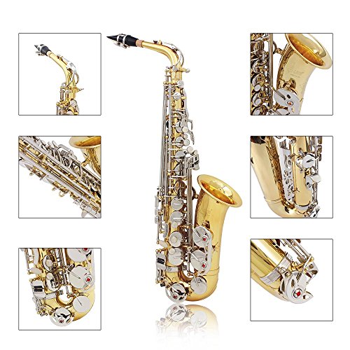 Alto Saxophone Sax Glossy Brass Engraved Eb E-Flat Natural White Shell Button Wind Instrument with Case Mute Gloves Cleaning Cloth Grease Belt Brush