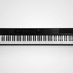 Artesia| 88 Key Digital Piano with Semi Weighted Action & Built In Speakers