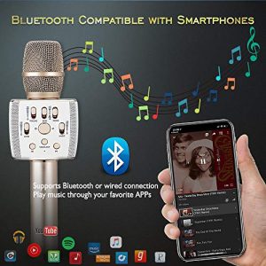 Bluetooth Karaoke Microphone Dual Speaker Loud 12W - Image 2