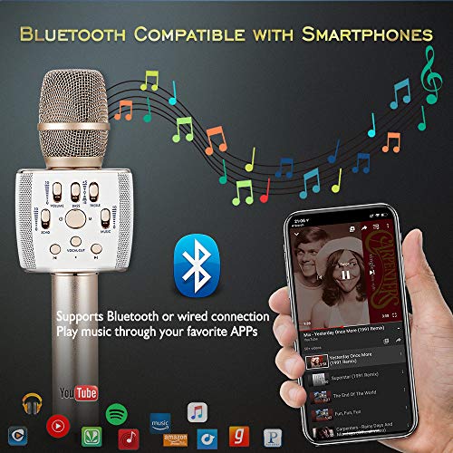 Bluetooth Karaoke Microphone Dual Speaker Loud 12W