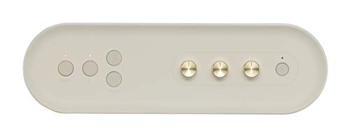 Roland Bluetooth Speaker with Guitar Input