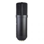 Stellar X2 Large Capsule Condenser Microphone 🛒 Instrumentstogo.com