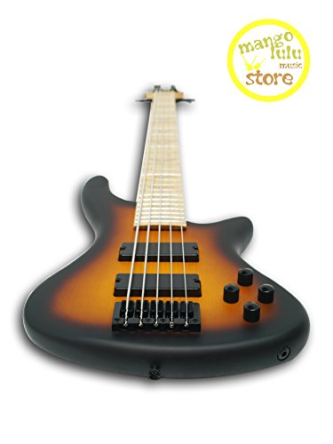 5 String Electric Bass ?
