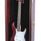 Electric Guitar Display Case Cabinet Shadow Box with Hanger