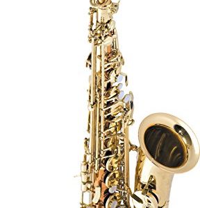 Selmer SAS280 La Voix II Alto Saxophone Outfit Copper Body with Yellow Brass Bell and Keys
