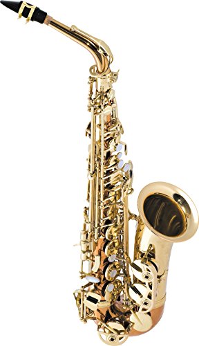 Selmer SAS280 La Voix II Alto Saxophone Outfit Copper Body with Yellow Brass Bell and Keys
