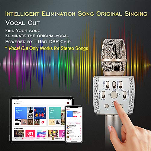 Bluetooth Karaoke Microphone Dual Speaker Loud 12W