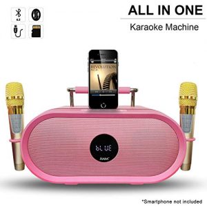 RHM Karaoke Machine for Kids&Adult,2 Wireless Microphones