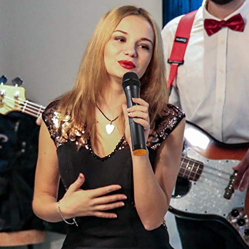 NASUM UHF Dual Channel Wireless Microphone System – Professional Handheld Mics for Karaoke, Meetings, and Performances