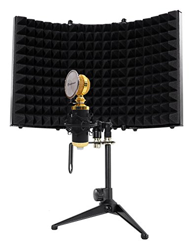 Rockville Pro Studio Recording Condenser Microphone