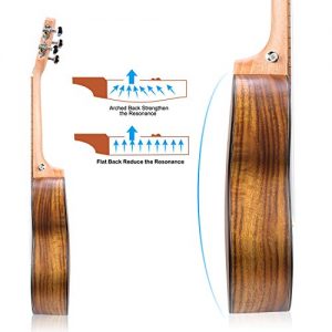 Hricane Concert Ukulele 23 Inch Koa Professional Hawaiian Ukuleles - Image 4