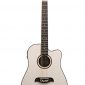 Oscar Schmidt 12-Strings Acoustic Electric Guitar