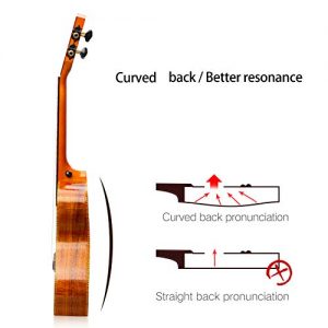 GECKO Ukulele Concert Acacia (KOA) Polished 23 inch Ukulele - Image 3