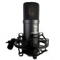 Stellar X2 Large Capsule Condenser Microphone