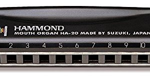 Suzuki-Promaster-Hammond-Eb
