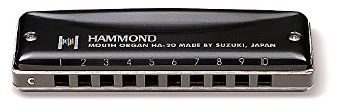 Suzuki-Promaster-Hammond-Eb
