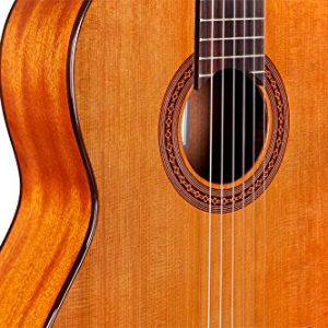 Cordoba Dolce 7/8 Size Acoustic Nylon String Classical Guitar - Image 4