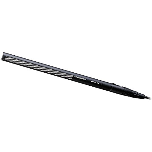 Sennheiser Short Shotgun Mic and Marantz Professional Blimp-Style Microphone