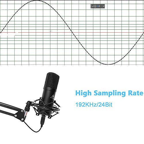 Professional 192kHz/24bit Cardioid Condenser Mic with Two Mic Holders, Perfect for Livestreaming, Voice Over, YouTube, Gaming, and ASMR! ??