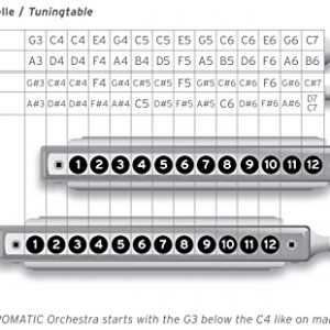 Seydel Chromatic Saxony Harmonica: Orchestra C Matte Chrome - Image 3