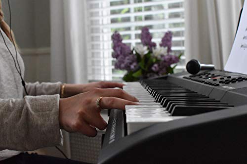 Alesis Melody 61 MKII | 61 Key Portable Keyboard with Built In Speakers