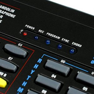 RockJam RJ549 49-Key Portable Electric Keyboard Piano – Ideal for Beginners with Simply Piano App Integration - Image 4