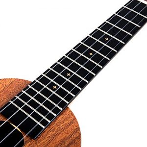 Enya Pineapple Soprano Ukulele 21 Inch Beginner Kit - Image 3