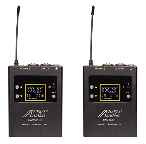 Audio2000'S AWM6601U Dual-Channel Wireless System – Headset, Lavalier, & Guitar Mic for DSLR, YouTube, Podcast & More