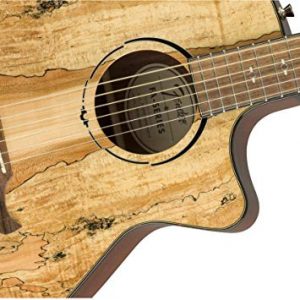 Fender Spalted Maple Acoustic Guitar - Limited Edition - Image 4
