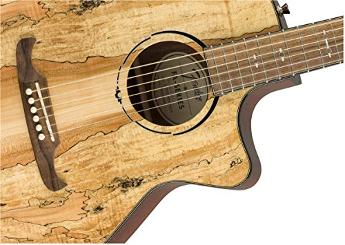 Fender Spalted Maple Acoustic Guitar - Limited Edition