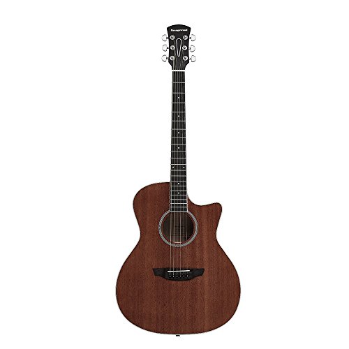 Orangewood Rey Grand Auditorium Cutaway Acoustic Guitar