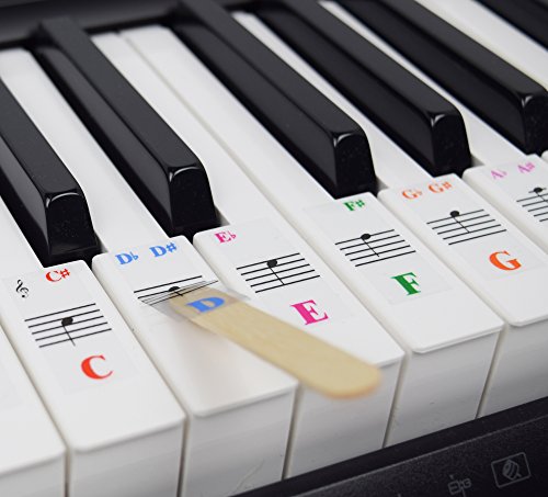 QMG 61 Key Digital Electronic Keyboard Piano with Dust Cover