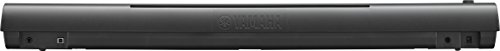 Yamaha NP12 61-Key Portable Keyboard: Lightweight, Touch Sensitive, and Ideal for Learning