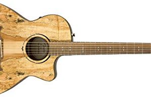 Fender Spalted Maple Acoustic Guitar - Limited Edition