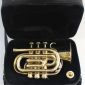 Pocket Trumpet Brass Finish Awesome Sounds Quality Bb W/Case+Mp Gold