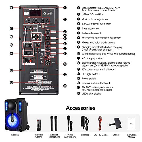 🎤 SEAPHY Karaoke Machine with Vocal Removal & DJ Lights | Bring the Party Anywhere!