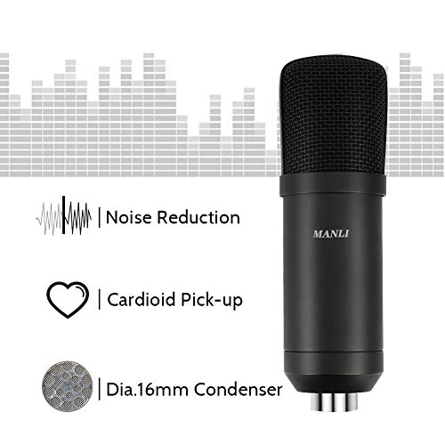 Professional Studio Condenser Microphone Computer PC Microphone Kit