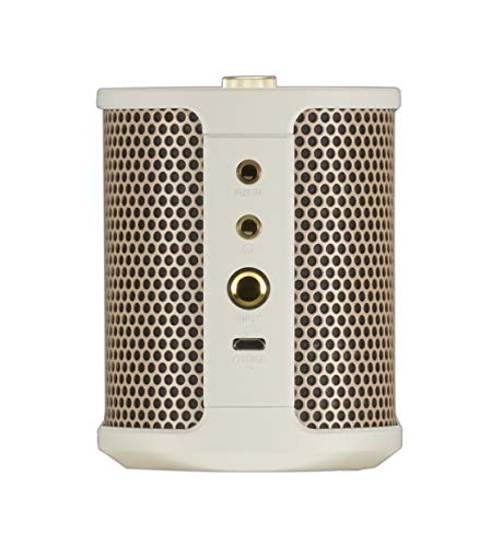 Roland Bluetooth Speaker with Guitar Input