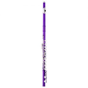 EastRock Closed Hole Flutes C 16 Key for Beginner - Image 2