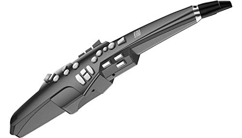 Roland Aerophone AE-10G Bundle - Master Saxophone Sounds with Superior Performance and Exclusive Accessories! ??