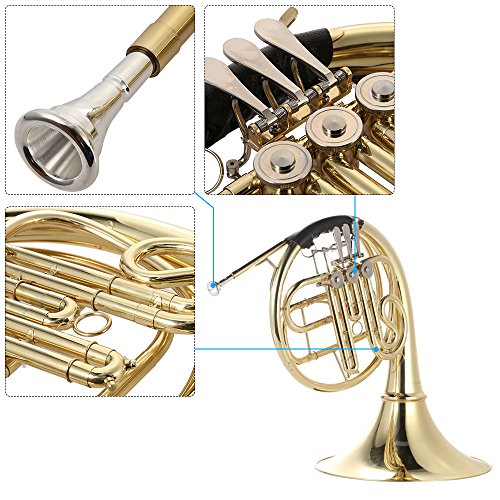 Ammoon Brass Gold Lacquer French Horn B/Bb Flat – Student 3-Key Single-Row Horn 🎺✨