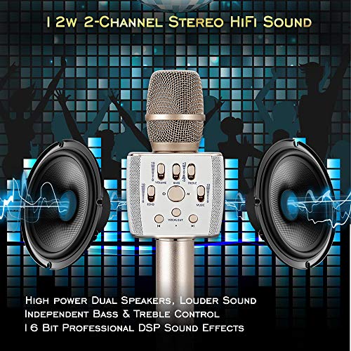 Bluetooth Karaoke Microphone Dual Speaker Loud 12W