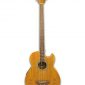 4 String Acoustic Electric Cutaway Bass Guitar